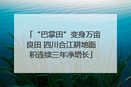 “巴掌田”变身万亩良田 四川合江耕地面积连续三年净增长
